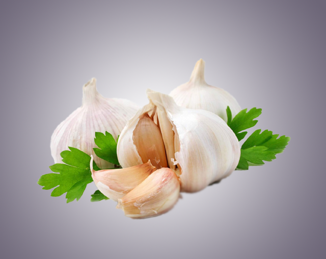 dehydrated-garlic-products Exporter | Mahuva Dehydration Pvt. Ltd