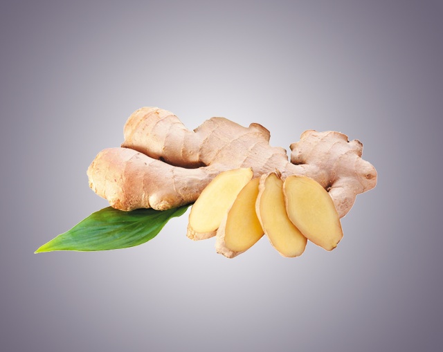 dehydrated-ginger-products Exporter | Mahuva Dehydration Pvt. Ltd