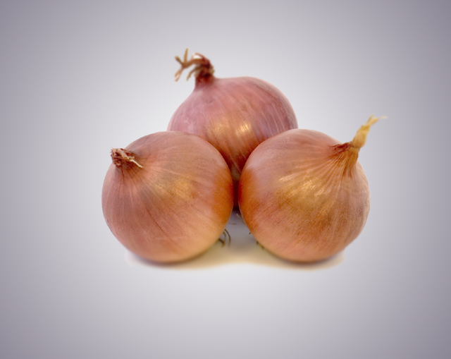 pink-onion-products Exporter | Mahuva Dehydration Pvt. Ltd